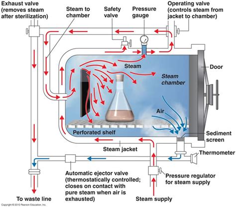 diagram of an autoclave|positive pressure displacement autoclave.